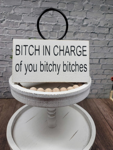 Bitch In Charge Of You Bitchy Bitches 5